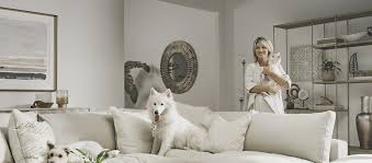 Lingering pet hair can be a pesky problem, especially when it comes to cleaning your furniture. How To Clean Pet Hair Off Of Furniture Rugs And Floors Living Spaces