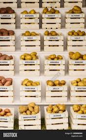 A heterotroph is not capable of making its own food. Various Types Potatoes Image Photo Free Trial Bigstock