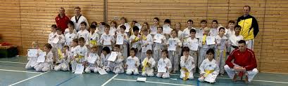 Wir halten uns an die vom ötdv vorgeschriebene prüfungsordnung (kann beim trainer eingesehen werden und ist in kopie erhältlich). 60 Neue Taekwondo Gurtel Im Tv Diedenbergen Tv Diedenbergen E V