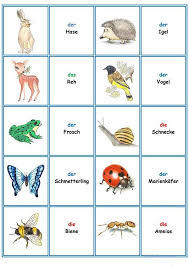 Spiele Im Deutschunterricht Memory Die Tiere Deutsch Unterricht Deutsch Lernen Kinder Deutsch Lernen
