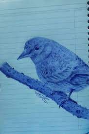 رسم عصفور بالقلم الأزرق الناشف حقي عبد المجيد animals bird