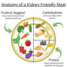 downloadable renal diet grocery list the kidney dietitian