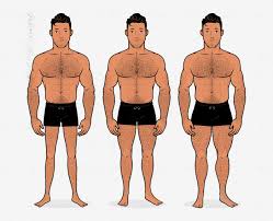 We did not find results for: How Big Should Men Build Their Legs Bony To Beastly