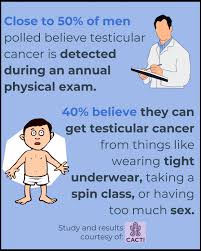 Testicular cancer is the most common cancer among uk men aged 15—49. Cacti Investigates Testicular Cancer A Ballsy Sense Of Tumor