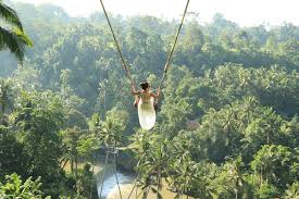 Economy lot g is located along bessie coleman drive at the southwest corner of mannheim and zemke road. The Bali Swing And Its Alternatives Getting The Best Bang For Your Buck Bali Travel Guide For Smart Travellers