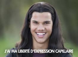 Twilight : la saga expliquée aux mecs