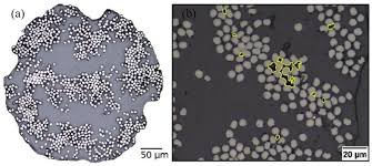 Black white red green blue yellow magenta cyan. Polymers Free Full Text Fdm Based 3d Printing Of Polymer And Associated Composite A Review On Mechanical Properties Defects And Treatments Html