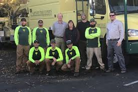 I contracted with grover landscaping to construct a $700,000 park landscaping in one. Tree Service And Shrub Care In Pleasant Hill Ca Bartlett