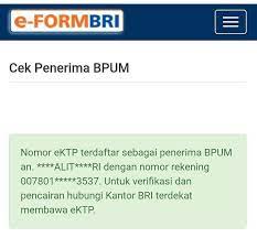Nik Terdaftar Di Eform Bri Co Id Bpum Bisa Dapat Blt Banpres Umkm Cek Link Bpum Bri Sekarang Berita Diy