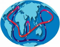 Que Es La Cinta Transportadora Oceanica Para Que Sirve