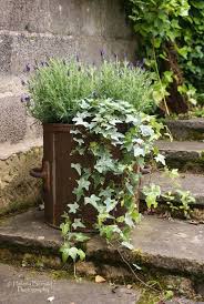 Container Gardening Topf Und Kubelpflanzen Gartencontainer Kubelpflanzen