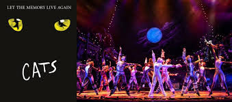 cats proctors theatre mainstage schenectady ny tickets