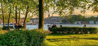 Man med hästar och släde vid rosendal på ett vintrigt djurgården i stockholm. Djurgarden Stockholm Reisen