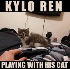 Star Wars Rebels Clone Wars 2 Kylo S Cat Funny Animals Cute Animals With Funny Captions Funny Cat Videos