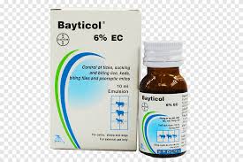 Kopek Pire Kedi Uyuz Bayer Kopek Hayvanlar Hizmet Png Pngegg