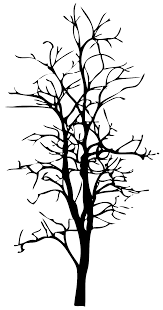Check spelling or type a new query. Free Dead Tree 1189365 Png With Transparent Background