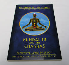 Kundalini and the Chakras: A Practical Manual--evolution in this Lifetime [Book]