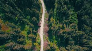 Image result for narrow road