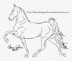 Follow along to learn how to draw a horse easy, step by step art tutorial. Tennessee Walking Horse Mustang Line Art Mane Bridle Png 900x760px Tennessee Walking Horse Animal Figure Artwork