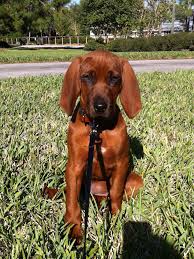 Maybe you would like to learn more about one of these? Pin On For The Home