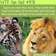 Pin By Bonnie Hartman On Wtf Fun Facts Animal Facts Wtf Fun Facts Fun Facts