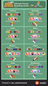 Pin By Soli P On Acnh In 2020 Animal Crossing Funny Animal Crossing Animal Crossing 3ds