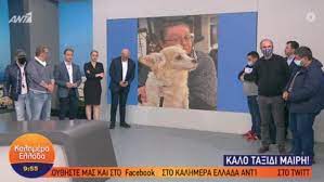 Το μαράκι μας έπεσε θύμα τροχαίου. P0owaxlp4wjbym