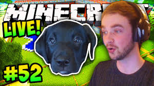 MINECRAFT (How To Minecraft)