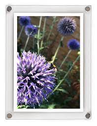 Here's a guide to some of the best acrylic frames for walls and tabletops that will enable you to create a great viewing experience for audiences at home and in the gallery. Acrylic Photo Poster Frame Wall Mounted With Stand Offs
