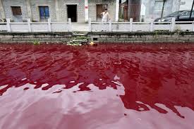 I shocked our shallow dug well after reading some suggestions on the net. China Water Pollution Photos