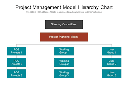 Project Management Model Hierarchy Chart Powerpoint Slide