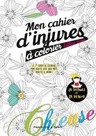 mon cahier d injures a colorier edition bonus le 1er de coloriage pour adultes avec gros mots insultes et jurons broche procrastineur achat livre fnac ours endormi