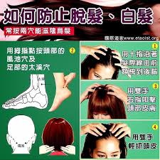 pin by dreamssail on 健康百科 health knowledge lost hair health and wellness