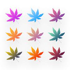 Antumn Leaves Gradient Color Autumn Flower Png Transparent Clipart Image And Psd File For Free Download Gradient Color Color Vector Free Graphic Design