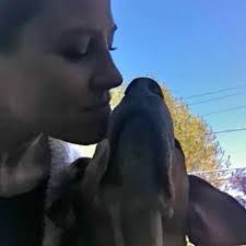 Lois Baum's Instagram, Twitter & Facebook