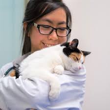 CANADIAN EMERGING VETERINARY SCHOLARS SUMMIT 2019