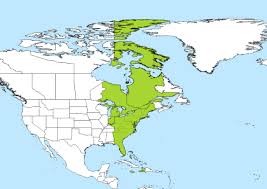 Windows updates the time zones in the registry when time zones are available and updates are downloaded. Gmt To Est Converter Savvy Time