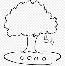 Maybe you would like to learn more about one of these? Apple Buku Mewarnai Pohon Gambar Png