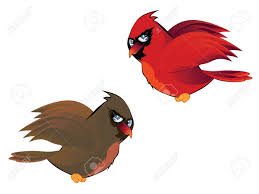 Cute Cartoon Male And Female Cardinal Birds Royalty Free Cliparts Vectors And Stock Illustration Image 66547623 Find images of female cardinal. cute cartoon male and female cardinal birds