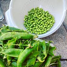 45 Mentions J Aime 15 Commentaires San Chez Santtchez Sur Instagram Quot Parlons Un Fruits Et Legumes De Saison Petit Pois Frais Fruits Et Legumes
