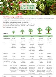 Apples come on range of rootstocks, identified by a number preceded by m or mm. Rootstock Brogdale Online