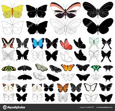 Maybe you would like to learn more about one of these? Gambar Sketsa Kupu Kupu