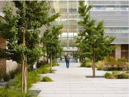 Pin On Outdoor Spaces