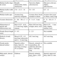 Image result for Vepris bachmannii