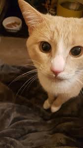 Let's welcome our new members! Ally Mann, Jade Rosaleen, Tony Vidaurri,  Tiffany Charlotte, Amber Ramirez, Chris Arpino, Christian Hendrix, Sandra  Ealy Quartarone, Lisa Nemec, Brittany Hall, Alice Halbert, Sharon Hamor,  Jill Marie