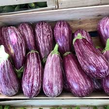Graffiti Eggplant Information And Facts