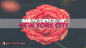 Maybe you would like to learn more about one of these? The 19 Best Options For Same Day Flower Delivery In Nyc Bestfloristreview