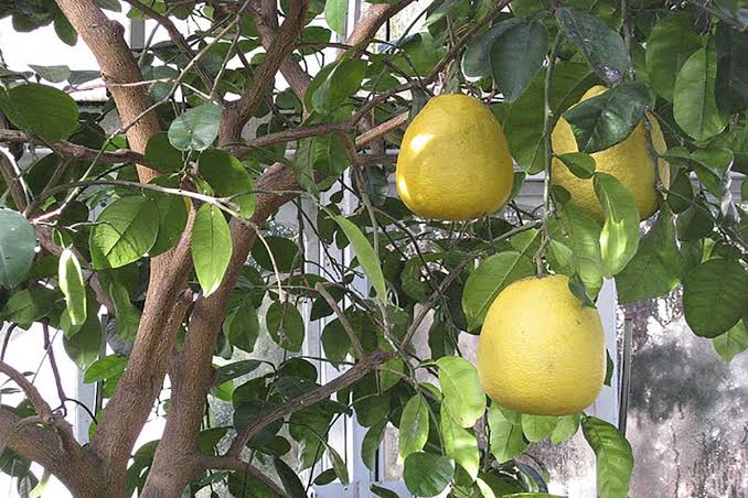 ����� images?q=tbn:ANd9GcS