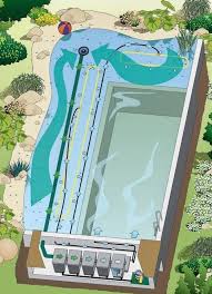 Schwimmteiche Naturlicher Badespass Swimming Pond Swimming Pools Backyard Backyard Pool