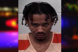 Jaden Hamilton — Paulding County Jail Bookings